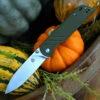 QSP Knife Parrot Linerlock QS102B, 3.25" D2 Satin Blade, Green G10 Handle