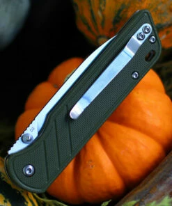 QSP Knife Parrot Linerlock QS102B, 3.25" D2 Satin Blade, Green G10 Handle -Buck Knives Sales QS102 Green.2 99835.1603807022