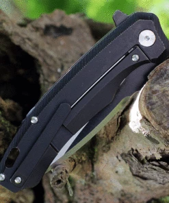 QSP Knife QSP Woodpecker QS116-D II 3.75" Bohler M390 Two-Tone Black & Satin Drop Point Blade, Black Titanium Handle -Buck Knives Sales QS116D.2 56096.1624378433