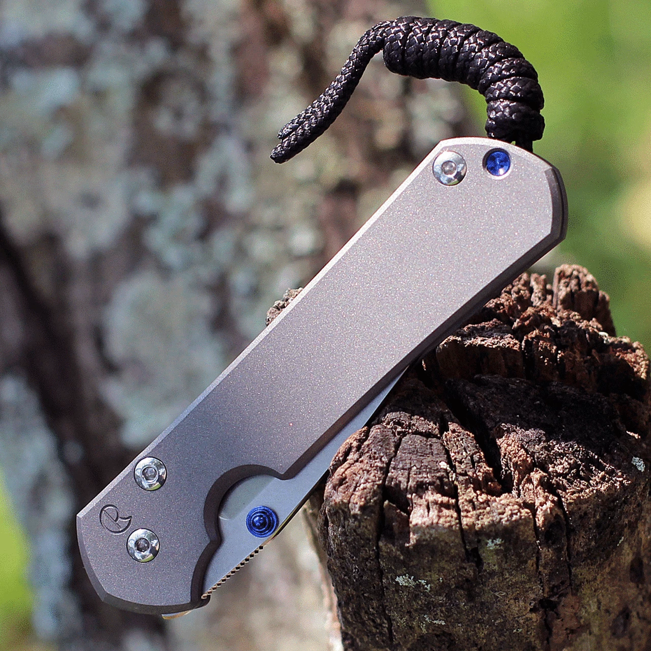 Chris Reeve Knives Small Sebenza 31, 2.99" CPM S45VN Stonewashed Drop Point Blade (S31-1000) 3 Chris Reeve Knives Small Sebenza 31, 2.99" CPM S45VN Stonewashed Drop Point Blade (S31-1000) - Image 3