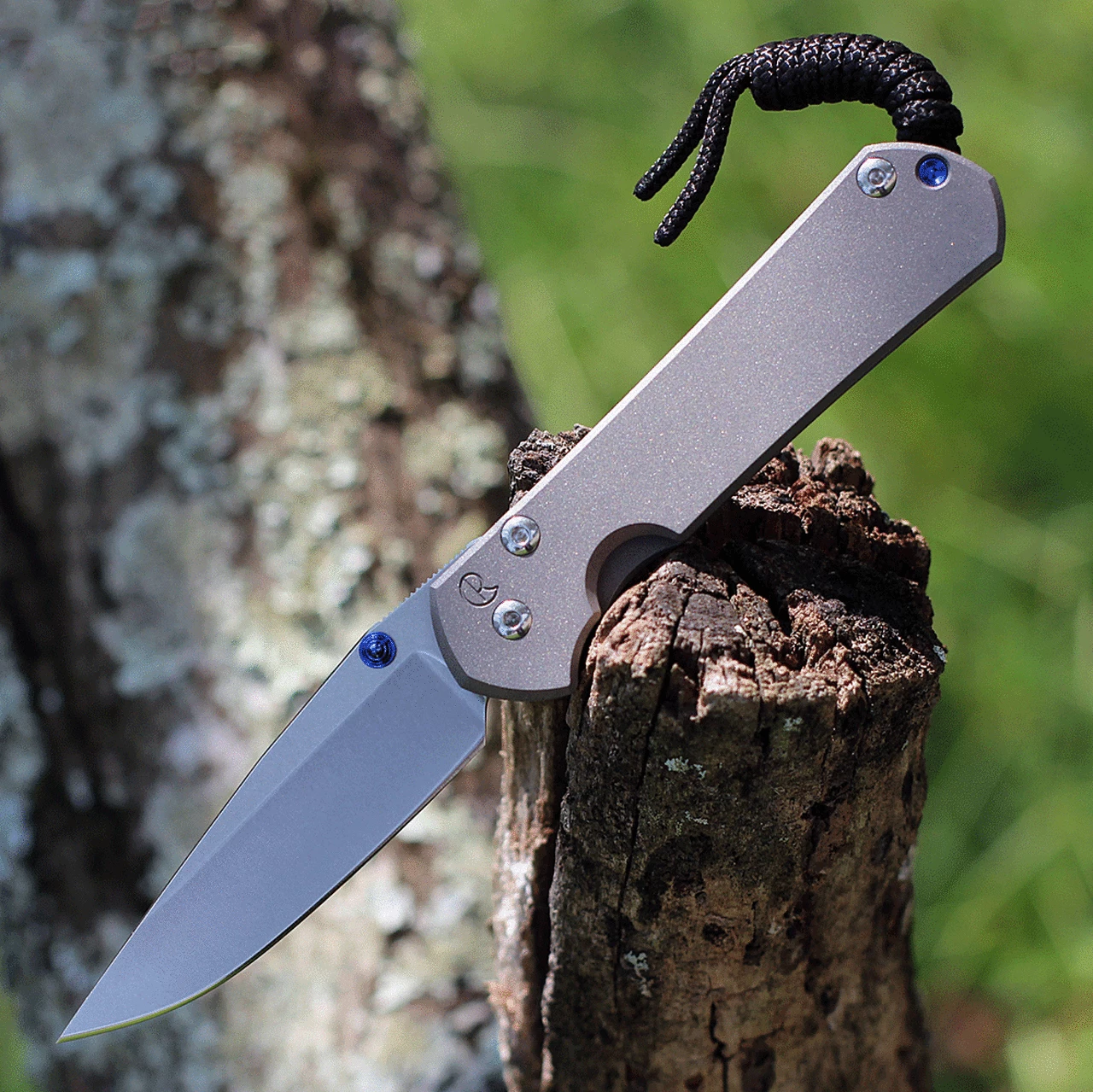 Chris Reeve Knives Small Sebenza 31, 2.99" CPM S45VN Stonewashed Drop Point Blade (S31-1000) 1 Chris Reeve Knives Small Sebenza 31, 2.99" CPM S45VN Stonewashed Drop Point Blade (S31-1000)