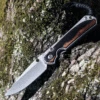 Chris Reeve Small Sebenza 31 - Matt-Blasted Ti w/ Macassar Ebony (3 " CPM S45VN SW ) S31-1116