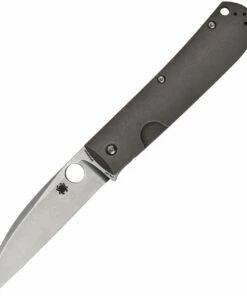 Spyderco Knives Spyderco Swayback - Black SW Titanium (3.5" CTS-XHP SW) C249TIP