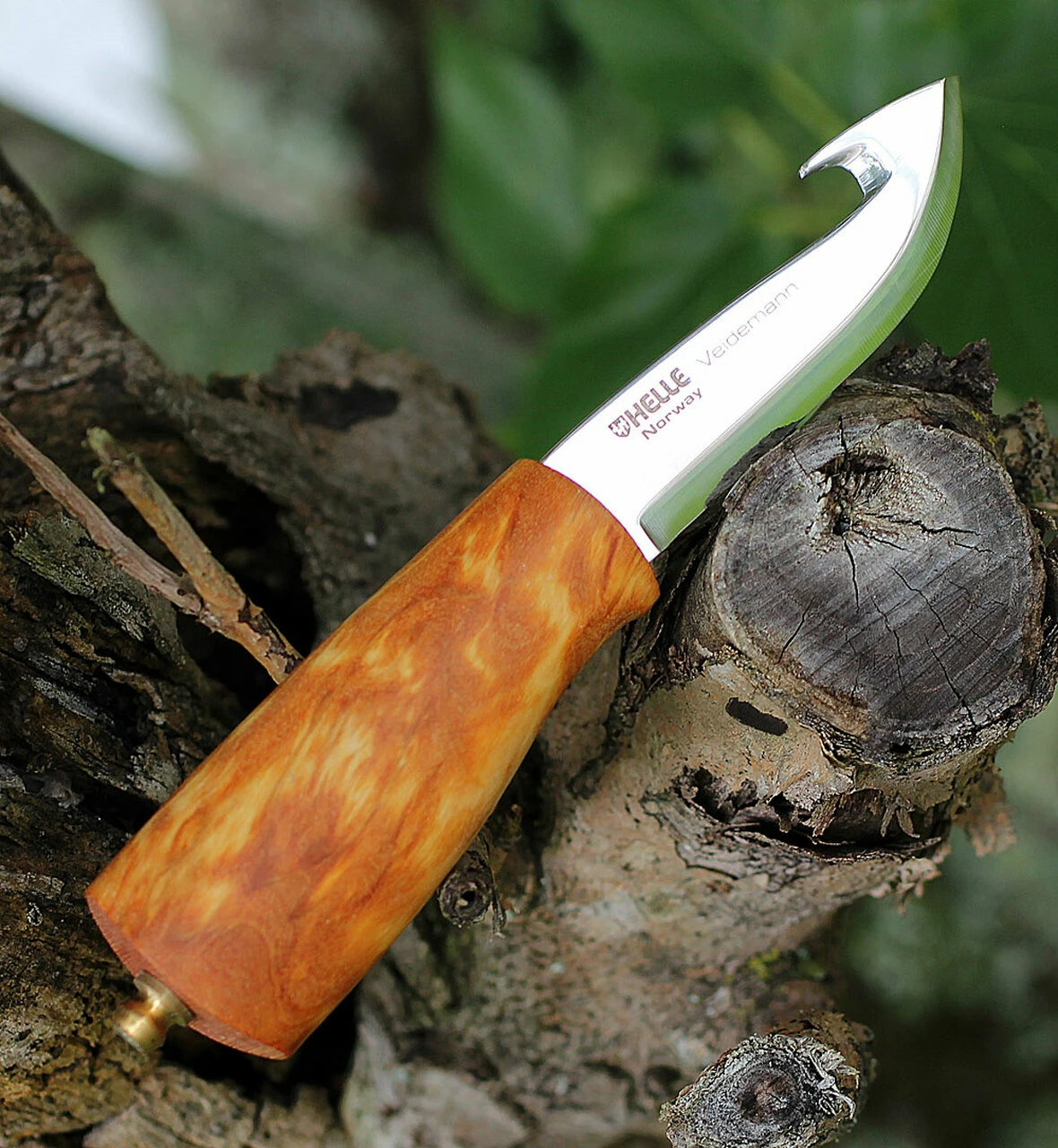 Helle No. 53 Veidemann Specialty Knife, 3.50" Triple Laminated SS, Curly Birch Handle 1 Helle No. 53 Veidemann Specialty Knife, 3.50" Triple Laminated SS, Curly Birch Handle