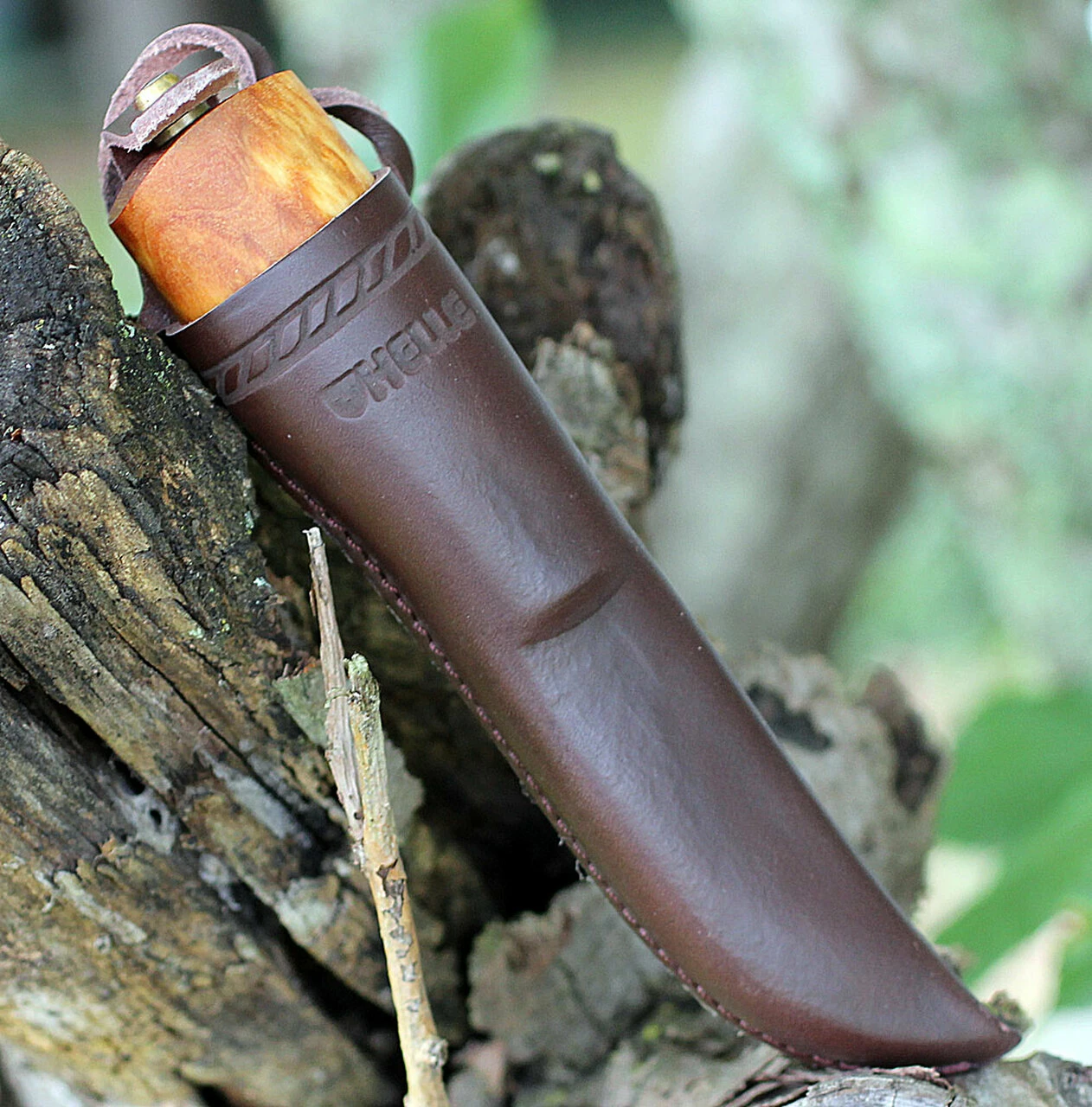 Helle No. 53 Veidemann Specialty Knife, 3.50" Triple Laminated SS, Curly Birch Handle 3 Helle No. 53 Veidemann Specialty Knife, 3.50" Triple Laminated SS, Curly Birch Handle - Image 3