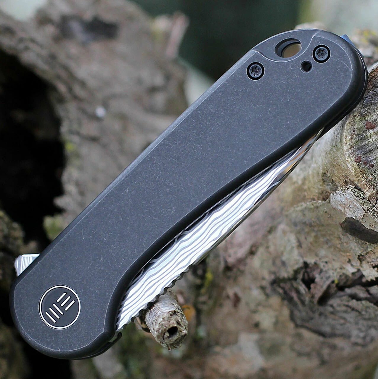 We Knife Co. WE Knife Elementum Frame Lock - Blk Ti (3" Hakkapella Damasteel) WE18062X-DS1 3 We Knife Co. WE Knife Elementum Frame Lock - Blk Ti (3" Hakkapella Damasteel) WE18062X-DS1 - Image 3