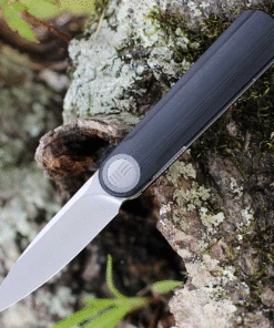 WE Knife Co. Eidolon - Black G-10 Integral (2.86" CPM-20CV SW) 19074A-B