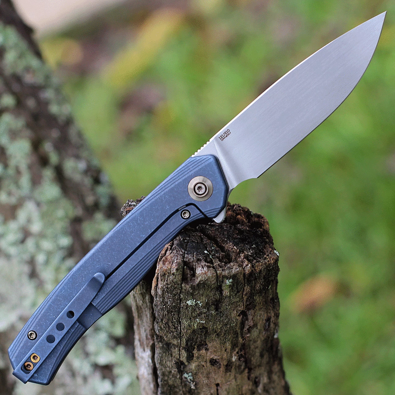 WE Knife Co. Seer - Blue Ti (3.48" CPM-20CV) 20015-2 Limited Edition 2 WE Knife Co. Seer - Blue Ti (3.48" CPM-20CV) 20015-2 Limited Edition - Image 2