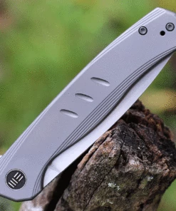 WE Knife Co. Seer - Gray Ti (3.48" CPM-20CV) 20015-3 Limited Edition -Buck Knives Sales WE20015 3.3 59090.1631815789