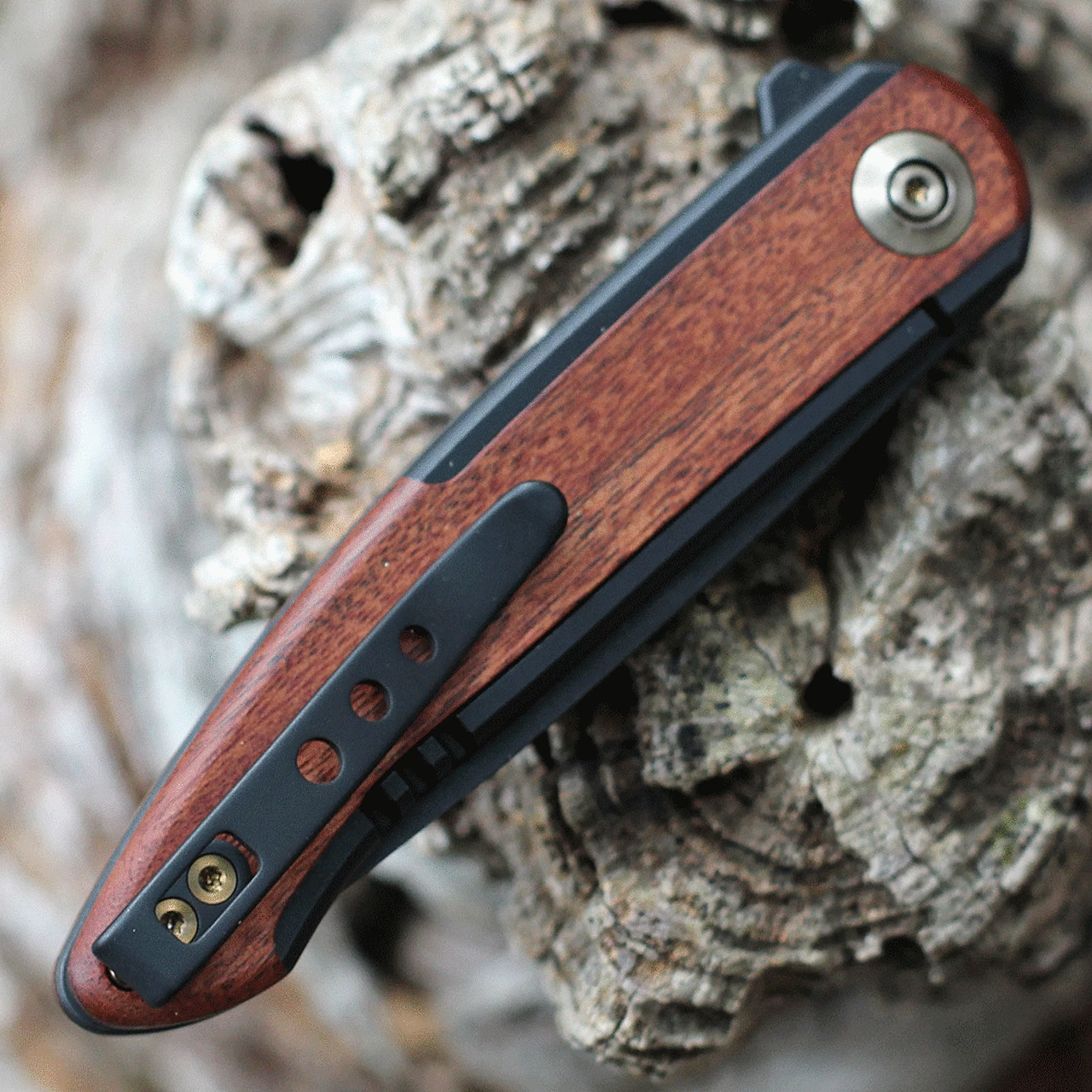 We Knife Co. WE Knife Smooth Sentinel - Blk Ti/Cuiboutia (3" CPM 20CV Blk) WE20043-3 4 We Knife Co. WE Knife Smooth Sentinel - Blk Ti/Cuiboutia (3" CPM 20CV Blk) WE20043-3 - Image 4