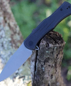 We Knife Co. WE Knife Primoris Black Ti (3.5" CPM 20CV Gray SW) 20047A-2