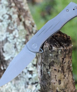 We Knife Co. WE Knife Primoris Gray Ti (3.5" CPM 20CV Gray SW) 20047A-1