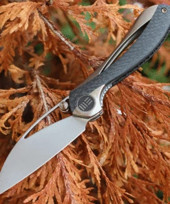 We Knife Co. We Knife Pleroma - Champagne Ti / CF (2.95” M390 Satin) 821B