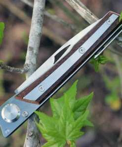 Actilam S4CWC Wood Folder w/ Clip, 3.375 in 14C28N SS Plain Blade -Buck Knives Sales acts4cwc.1 1 04160.1566585973