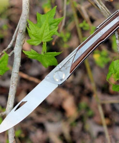 Actilam S4CWC Wood Folder w/ Clip, 3.375 in 14C28N SS Plain Blade