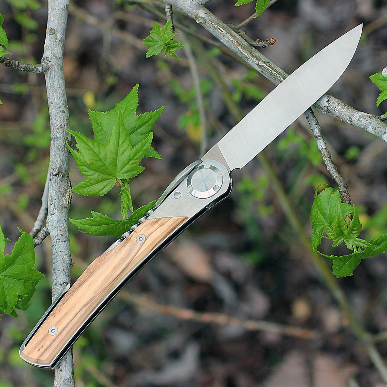 Actilam T3WC Olive Wood Folder w/ Clip, 3.25 in X50CrMoV15N Plain Blade 2 Actilam T3WC Olive Wood Folder w/ Clip, 3.25 in X50CrMoV15N Plain Blade - Image 2