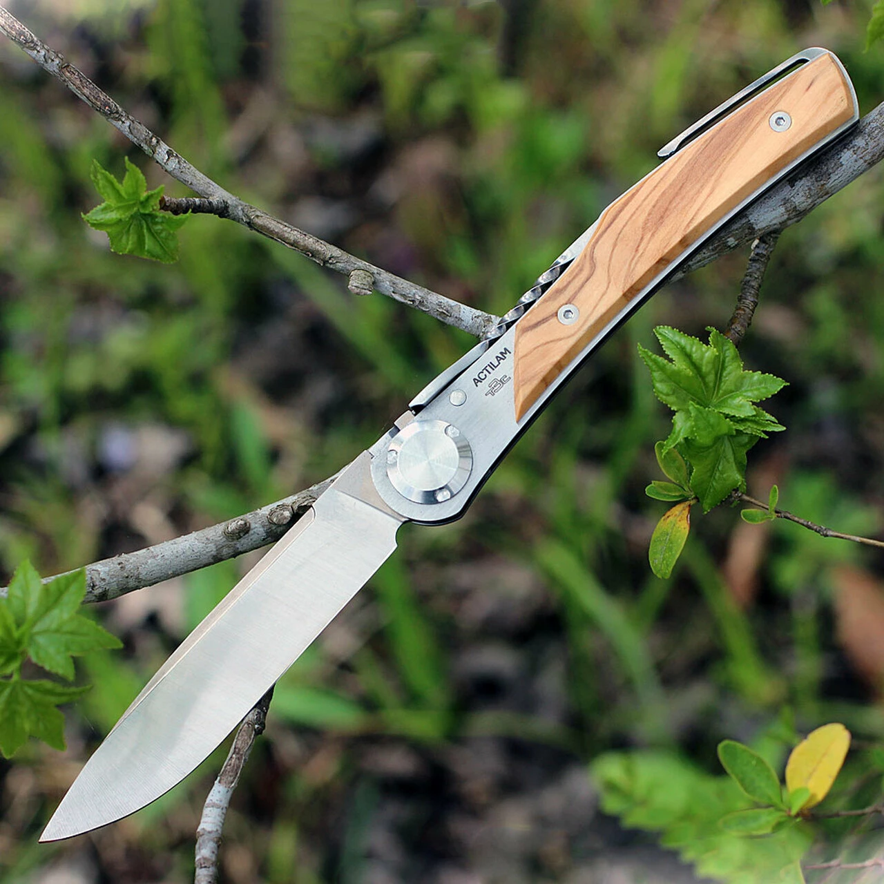 Actilam T3WC Olive Wood Folder w/ Clip, 3.25 in X50CrMoV15N Plain Blade 1 Actilam T3WC Olive Wood Folder w/ Clip, 3.25 in X50CrMoV15N Plain Blade