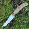 Browning Knives Browning Rosewood Fixed Blade, 3.5" Stainless Plain Blade, Rosewood Handle