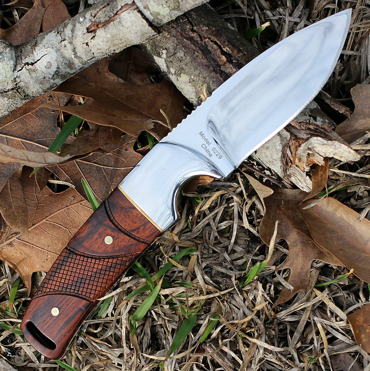 Browning Knives Browning Cocobolo Fixed Blade, 3." Stainless Plain Blade, Cocobolo Handle 2 Browning Knives Browning Cocobolo Fixed Blade, 3." Stainless Plain Blade, Cocobolo Handle - Image 2