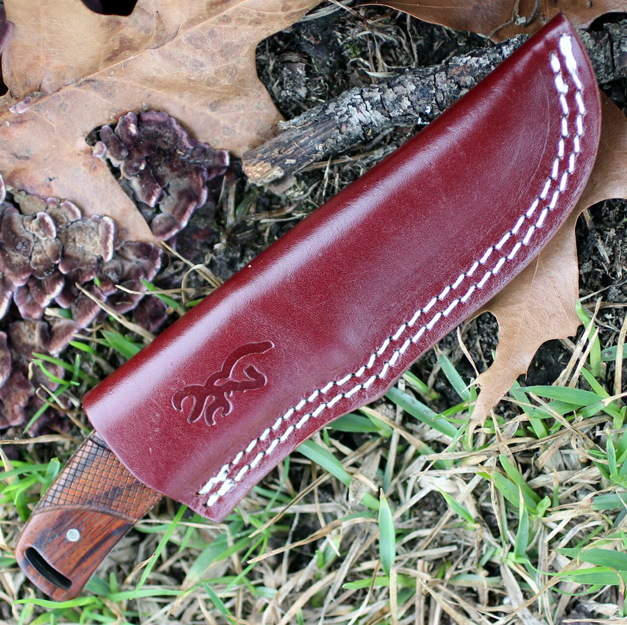 Browning Knives Browning Cocobolo Fixed Blade, 3." Stainless Plain Blade, Cocobolo Handle 3 Browning Knives Browning Cocobolo Fixed Blade, 3." Stainless Plain Blade, Cocobolo Handle - Image 3