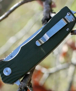 Bestech G01B Lion, 3.5" D2 Plain Blade, OD Green G-10 Handle 7 Bestech G01B Lion, 3.5" D2 Plain Blade, OD Green G-10 Handle -Buck Knives Sales btkg01b.2 16736.1566585979