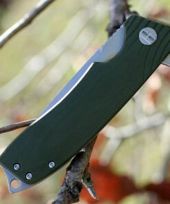 Bestech G01B Lion, 3.5" D2 Plain Blade, OD Green G-10 Handle 6 Bestech G01B Lion, 3.5" D2 Plain Blade, OD Green G-10 Handle -Buck Knives Sales btkg01b.3 90381.1566585979