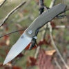 Bestech G04C Warwolf, 3.5" D2 Plain Blade, Army Green G-10 Handle