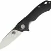 Bestech BTKG11A1 Beluga, 3.0" Sandvick 12C27 Black/Satin Plain Blade, Black G-10 Handle