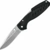 Buck Knives Buck 366BKS Rival III, 3.6" 420HC Plain Blade, Black Nylon Handle
