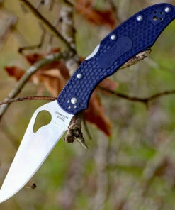 Byrd Knives BYRD BY03PBL2 CARA CARA 2, 3.75" 8Cr13MoV Plain Blade, Blue FRN Handle