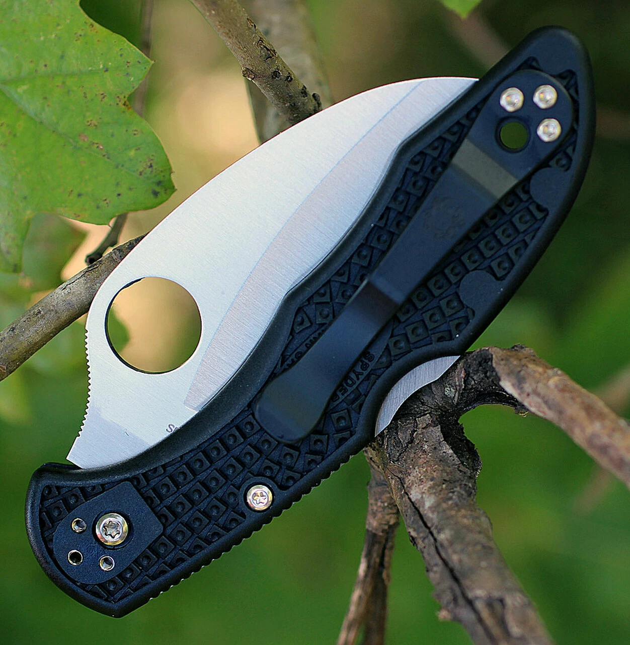 Spyderco Knives Spyderco Tasman Salt 2 FRN Black C106SBK2, 2.80 " H-1 Serrated Blade 3 Spyderco Knives Spyderco Tasman Salt 2 FRN Black C106SBK2, 2.80 " H-1 Serrated Blade - Image 3