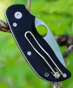 Spyderco Knives Spyderco Cat G-10 C129GP, 2.438" BD1 Plain Blade, G-10 Handle 7 Spyderco Knives Spyderco Cat G-10 C129GP, 2.438" BD1 Plain Blade, G-10 Handle -Buck Knives Sales c129gp.2 14405.1566587208