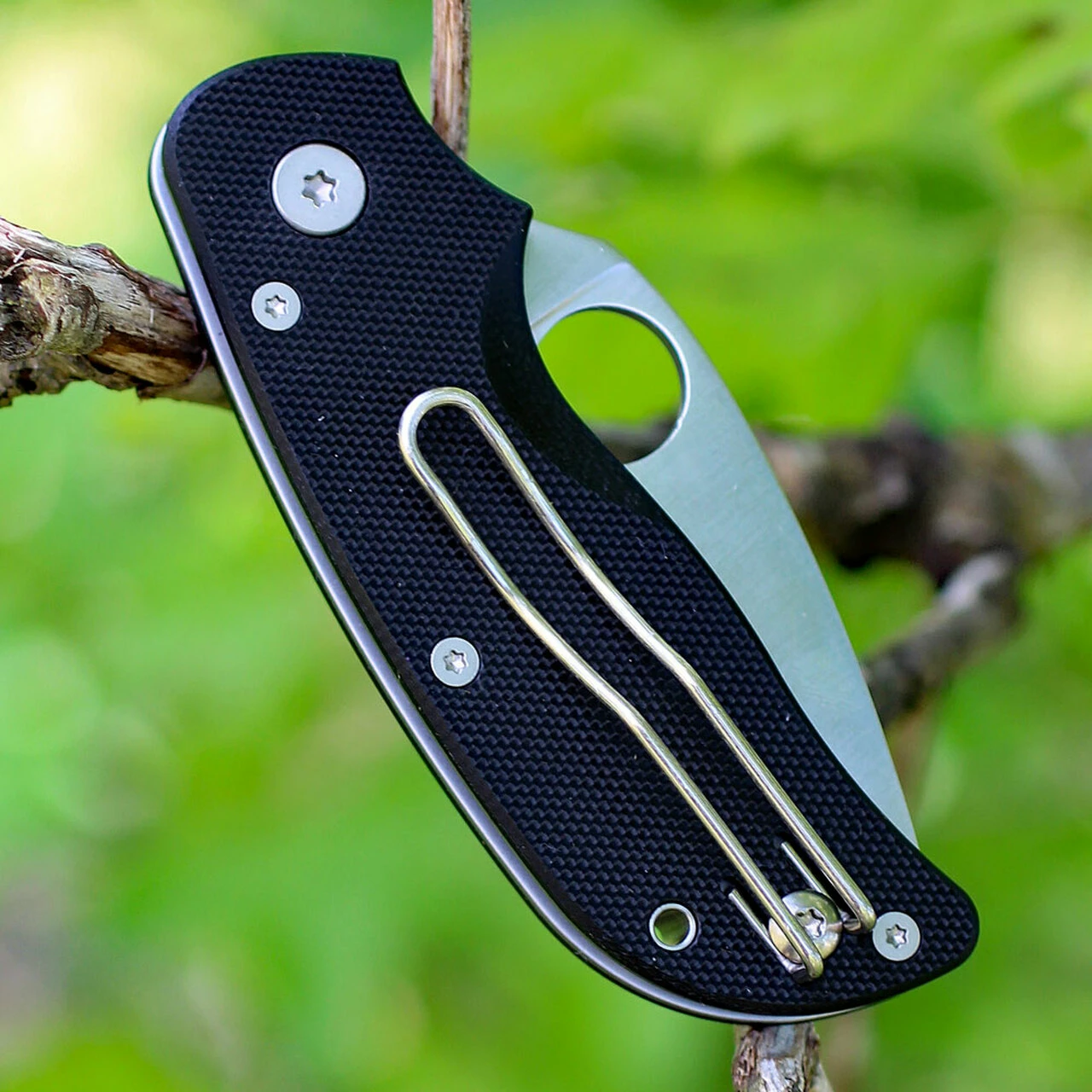 Spyderco Knives Spyderco Cat G-10 C129GP, 2.438" BD1 Plain Blade, G-10 Handle 4 Spyderco Knives Spyderco Cat G-10 C129GP, 2.438" BD1 Plain Blade, G-10 Handle - Image 4