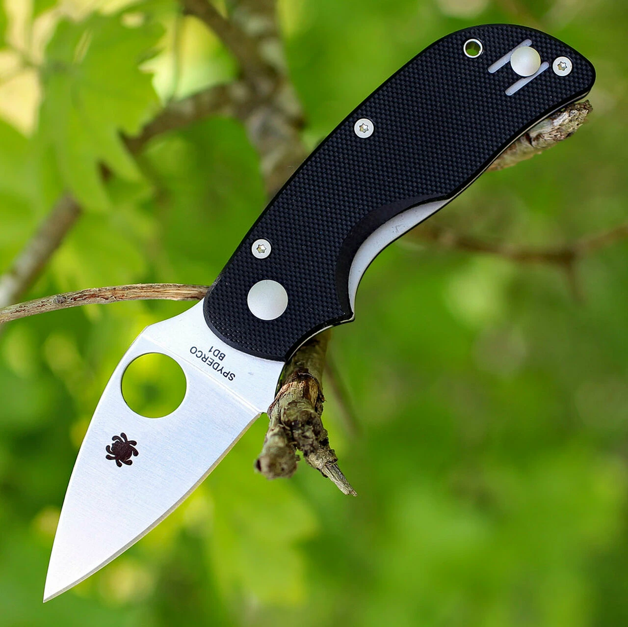 Spyderco Knives Spyderco Cat G-10 C129GP, 2.438" BD1 Plain Blade, G-10 Handle 1 Spyderco Knives Spyderco Cat G-10 C129GP, 2.438" BD1 Plain Blade, G-10 Handle