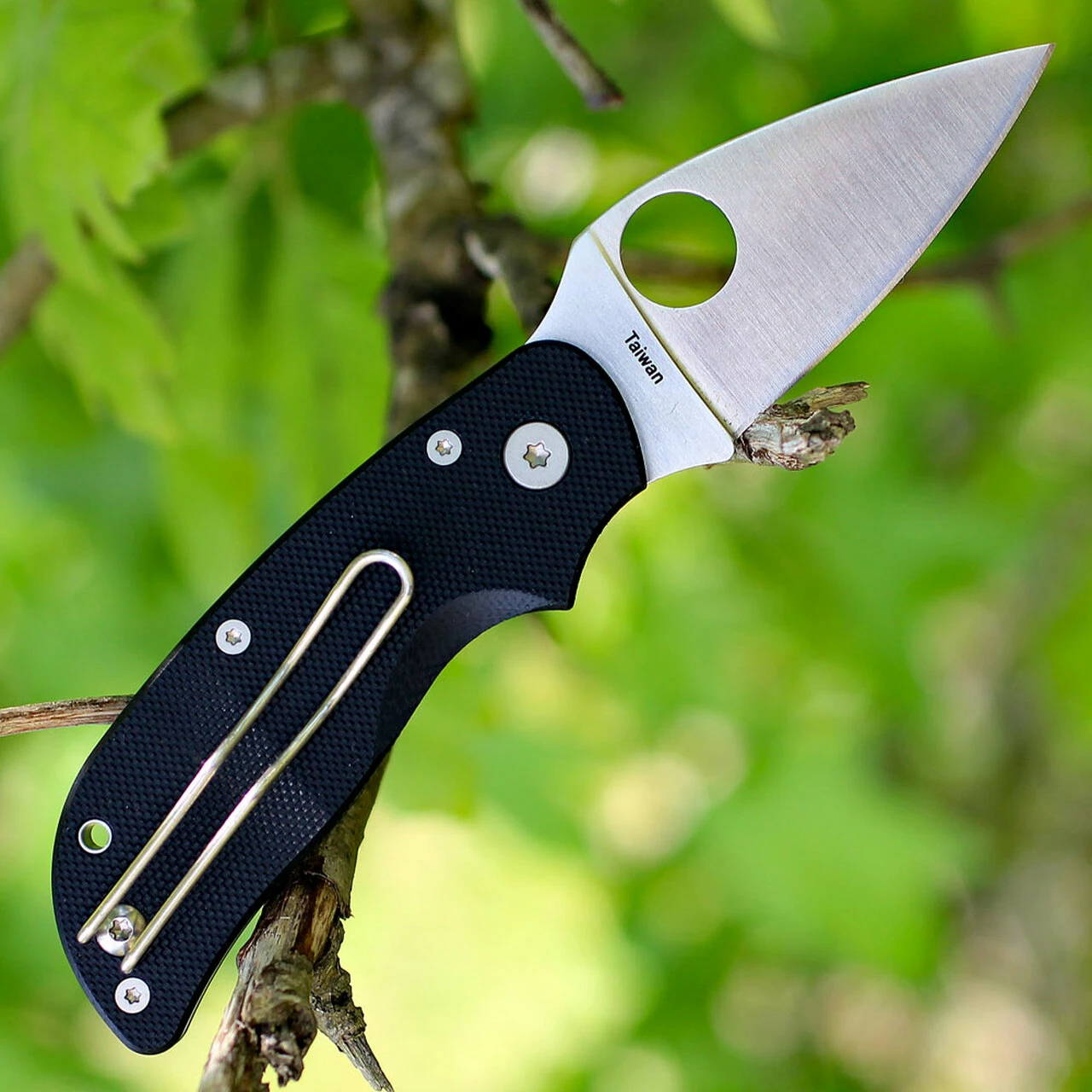 Spyderco Knives Spyderco Cat G-10 C129GP, 2.438" BD1 Plain Blade, G-10 Handle 2 Spyderco Knives Spyderco Cat G-10 C129GP, 2.438" BD1 Plain Blade, G-10 Handle - Image 2