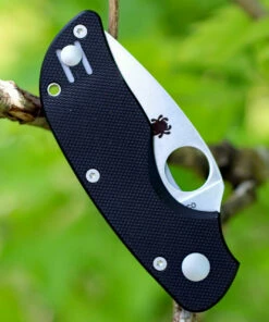 Spyderco Knives Spyderco Cat G-10 C129GP, 2.438" BD1 Plain Blade, G-10 Handle 6 Spyderco Knives Spyderco Cat G-10 C129GP, 2.438" BD1 Plain Blade, G-10 Handle -Buck Knives Sales c129gp 57276.1566587207