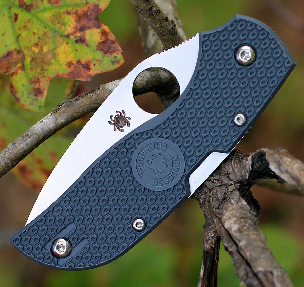 Spyderco Knives Spyderco Chaparral Lightweight C152PGY, 2.8 in CTS XHP Plain Blade, Gray FRN Handle 4 Spyderco Knives Spyderco Chaparral Lightweight C152PGY, 2.8 in CTS XHP Plain Blade, Gray FRN Handle - Image 4