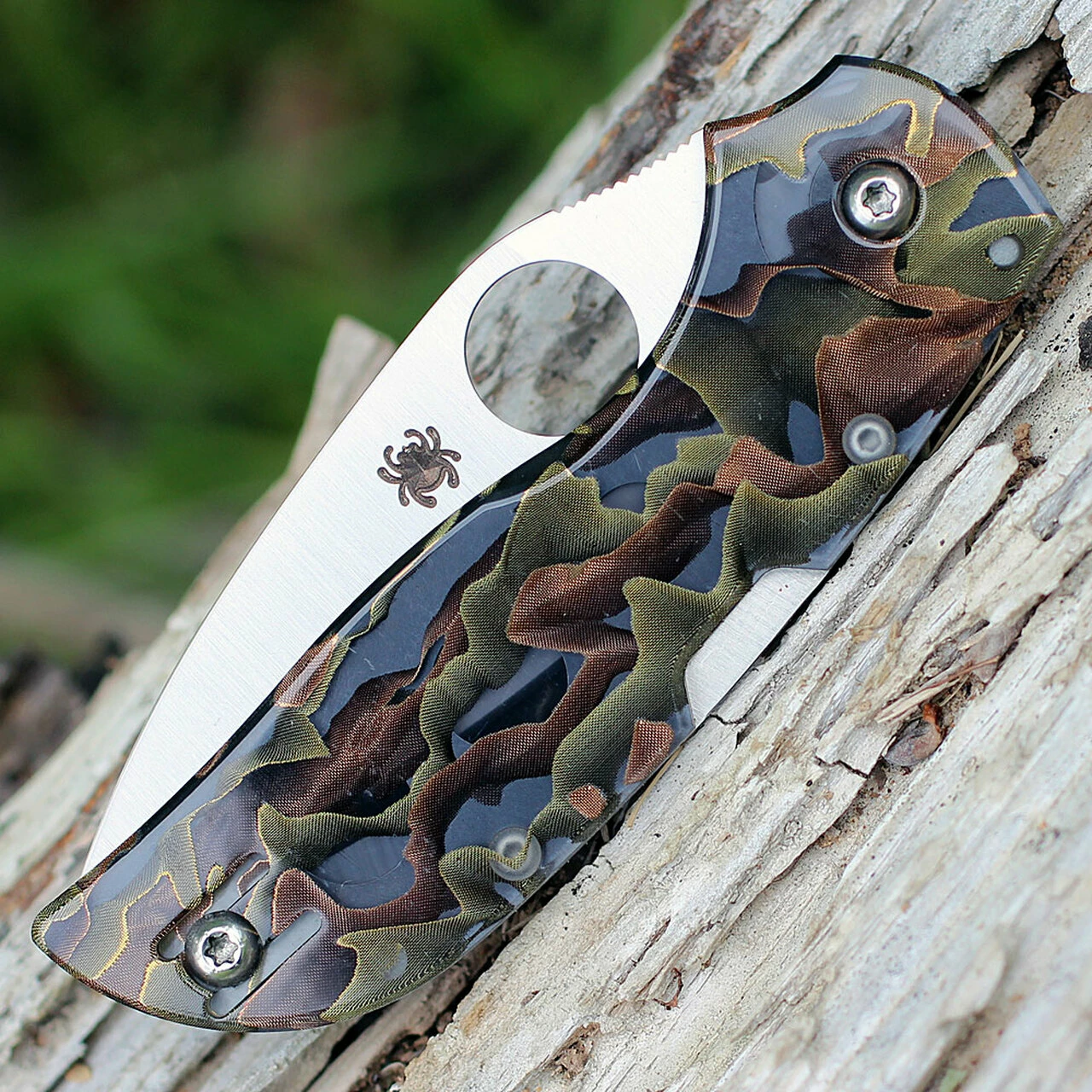 Spyderco Knives Spyderco C152RNP Chaparral Raffir Noble, 2.8" CTS XHP Plain Blade, Raffir Noble Handle 3 Spyderco Knives Spyderco C152RNP Chaparral Raffir Noble, 2.8" CTS XHP Plain Blade, Raffir Noble Handle - Image 3