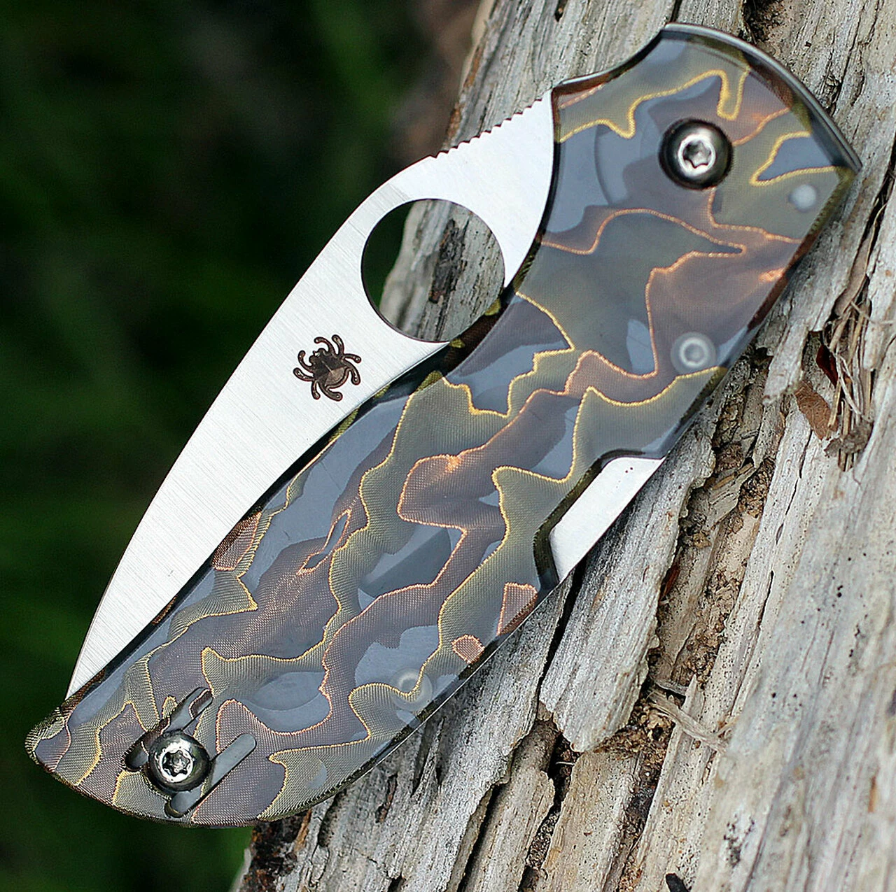 Spyderco Knives Spyderco C152RNP Chaparral Raffir Noble, 2.8" CTS XHP Plain Blade, Raffir Noble Handle 5 Spyderco Knives Spyderco C152RNP Chaparral Raffir Noble, 2.8" CTS XHP Plain Blade, Raffir Noble Handle - Image 5