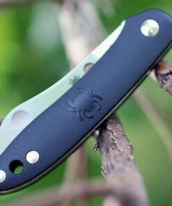 Spyderco Knives Spyderco Roadie Slipjoint - Black FRN (2.09" N690co) C189PBK -Buck Knives Sales c189pbk.1 34301.1566586527