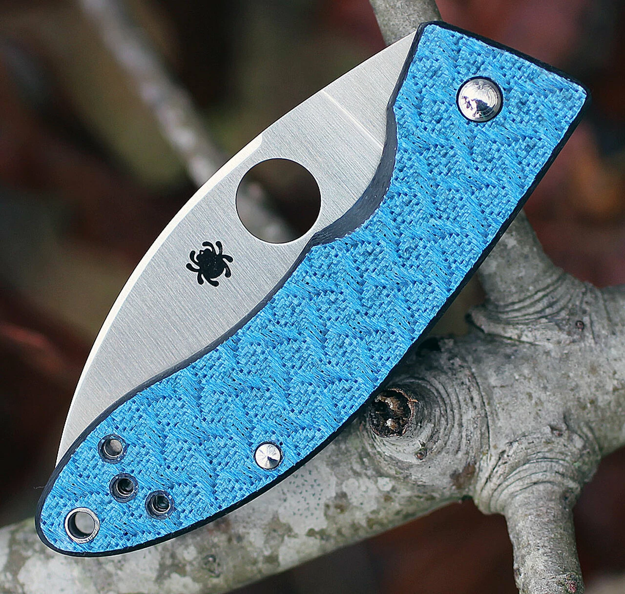 Spyderco Knives Spyderco C205GFBLP Lil’ Lum Chinese Folder, 2.38 in VG-10 Plain Blade, Blue Nishijin Glass Fiber Handles, Sprint Run 4 Spyderco Knives Spyderco C205GFBLP Lil’ Lum Chinese Folder, 2.38 in VG-10 Plain Blade, Blue Nishijin Glass Fiber Handles, Sprint Run - Image 4