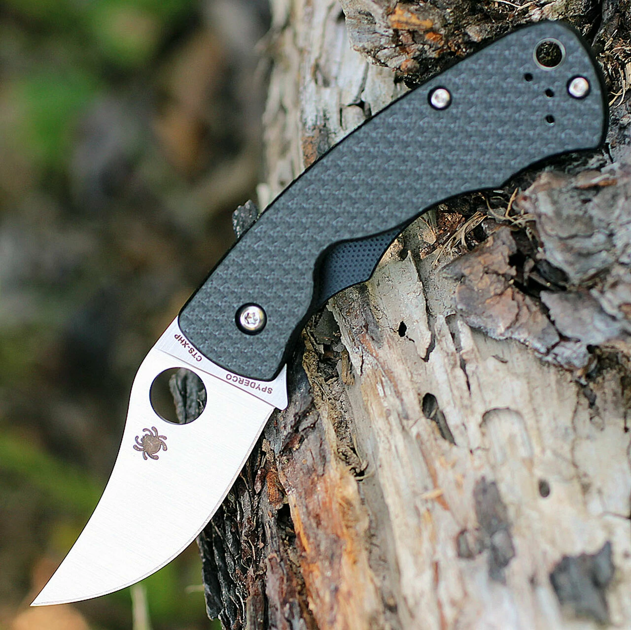 Spyderco Knives Spyderco C210CFP Reinhold Rhino, 2.35" CTS-XHP Plain Blade, Carbon Fiber Handle 1 Spyderco Knives Spyderco C210CFP Reinhold Rhino, 2.35" CTS-XHP Plain Blade, Carbon Fiber Handle