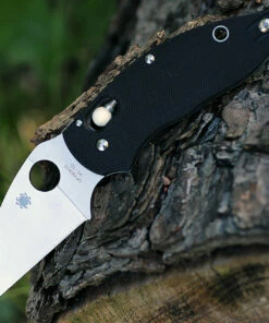 Spyderco Knives Spyderco Q Ball G-10 Black C219GP, 2.72 in VG-10 Plain Blade