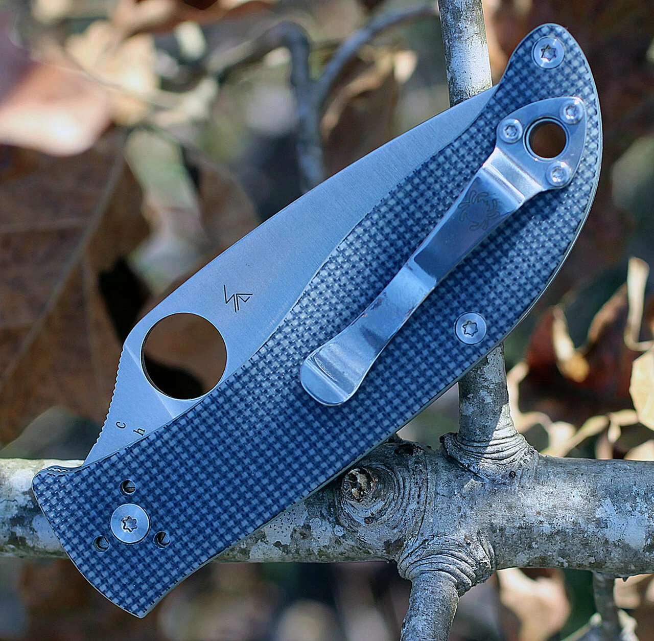 Spyderco Knives Spyderco Polestar G-10 Grey C220GPGY, 3.30" CTS BD1 Plain Blade 4 Spyderco Knives Spyderco Polestar G-10 Grey C220GPGY, 3.30" CTS BD1 Plain Blade - Image 4