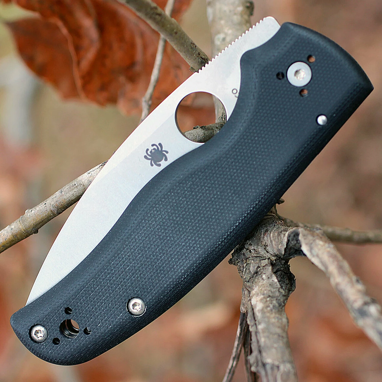 Spyderco Knives Spyderco Shaman G-10 Scales C229GP, 3.58" CPM S30V Plain Blade 3 Spyderco Knives Spyderco Shaman G-10 Scales C229GP, 3.58" CPM S30V Plain Blade - Image 3