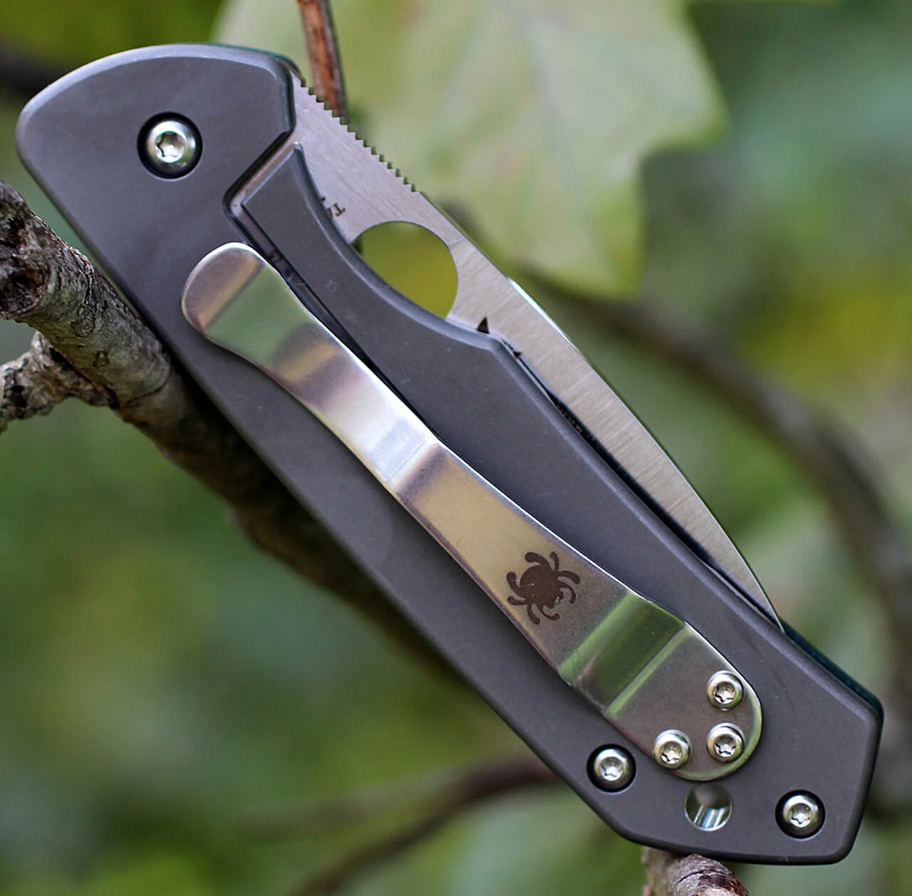 Spyderco Knives Spyderco C232GTIP Jerry Brouwer, CPM S30V Plain Blade, Forest Green G-10 Handle 3 Spyderco Knives Spyderco C232GTIP Jerry Brouwer, CPM S30V Plain Blade, Forest Green G-10 Handle - Image 3