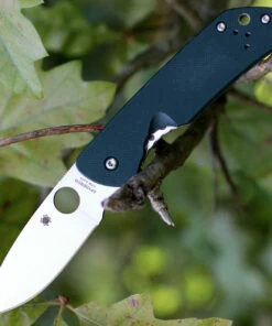 Spyderco Knives Spyderco C232GTIP Jerry Brouwer, CPM S30V Plain Blade, Forest Green G-10 Handle