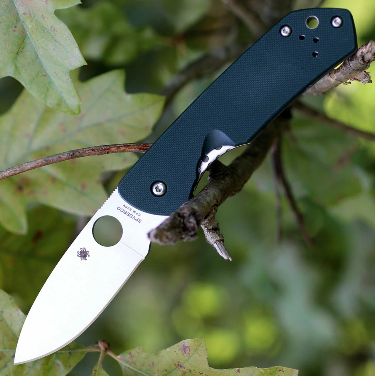 Spyderco Knives Spyderco C232GTIP Jerry Brouwer, CPM S30V Plain Blade, Forest Green G-10 Handle 1 Spyderco Knives Spyderco C232GTIP Jerry Brouwer, CPM S30V Plain Blade, Forest Green G-10 Handle