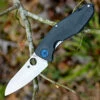 Spyderco Knives Spyderco C235CFTIP Drunken, 3.5" CPM-S90V Plain Blade, Carbon Fiber/Titanium Handles