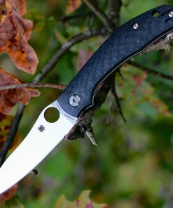 Spyderco Knives Spyderco Kapara C241CFP, 3.58" CPM S30V Plain Blade, Carbon Fiber Handle